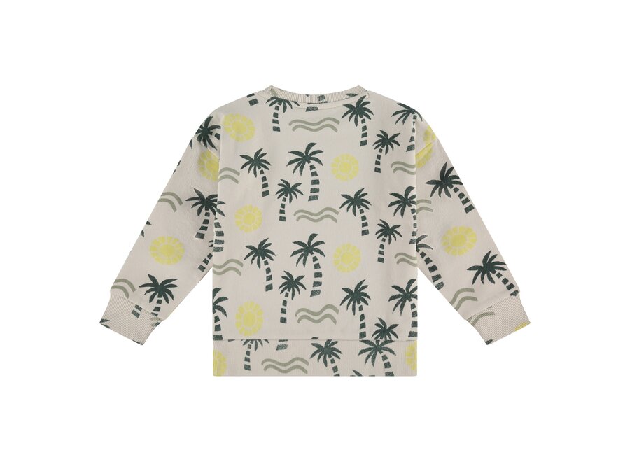 boys sweatshirt, SSA25207423