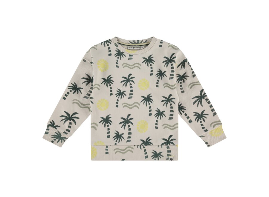 boys sweatshirt, SSA25207423