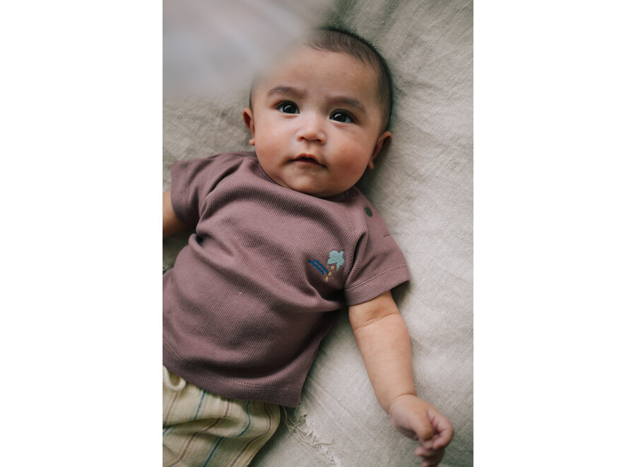t shirt Jord ss, rib