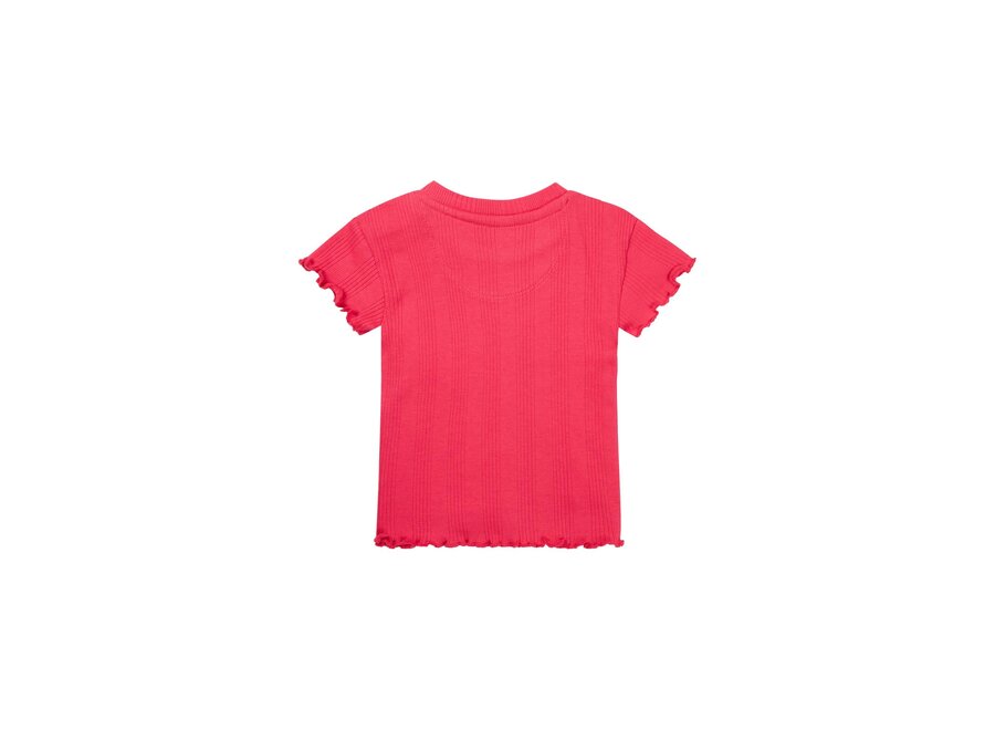Baby Meisjes Tshirt Montpelier