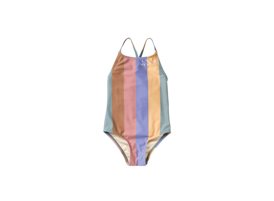 Multi Stripe | Swimsuit