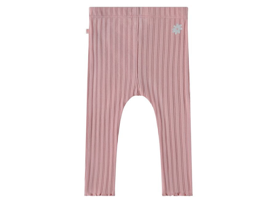 baby girls legging, BBE25328244