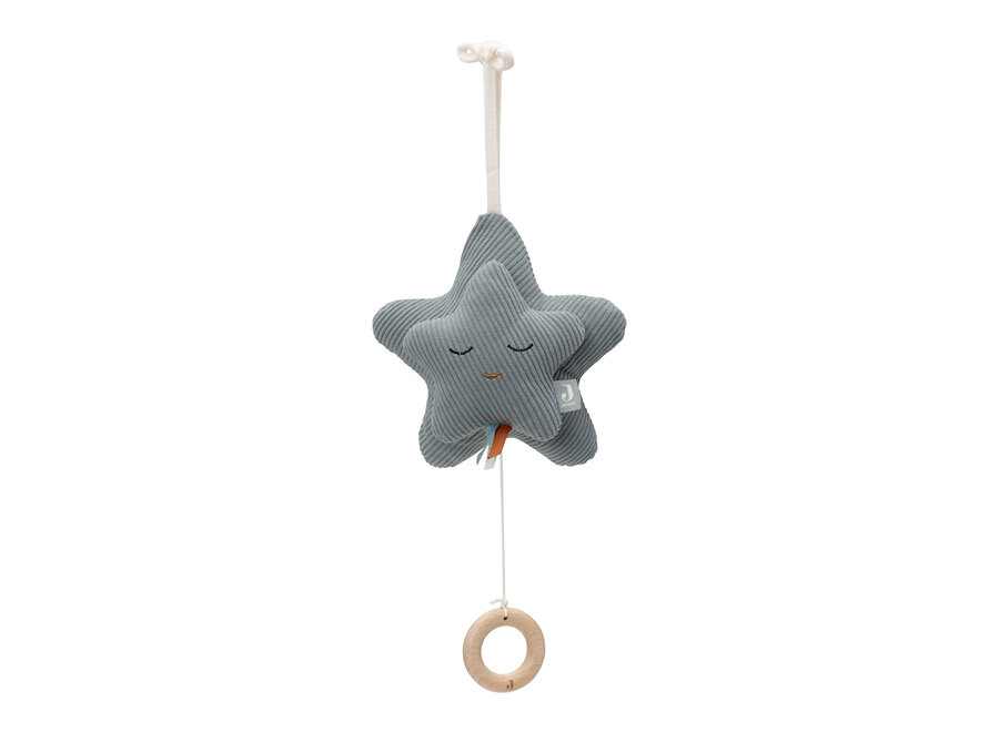 Muziekhanger Star Sea Green