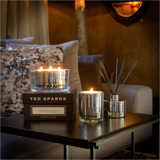 TED SPARKS - Diffuser - Metallic Collection - Silver