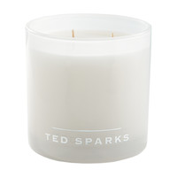 TED SPARKS - Diffuser XL - Fresh Linen