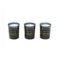 TED SPARKS - Mini Candle Gift Set - Bamboo & Peony
