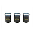 TED SPARKS - Mini Candle Gift Set - Bamboo & Peony