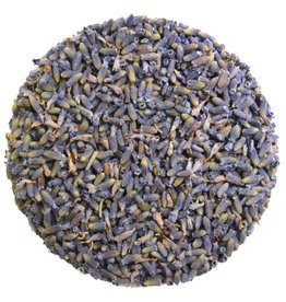 LAVENDEL