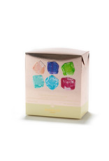 Dammann Boîte Assortiment 12 Sachets Thés & Infusions Glacés