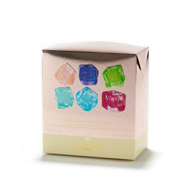 Dammann Boîte Assortiment 12 Sachets Thés & Infusions Glacés