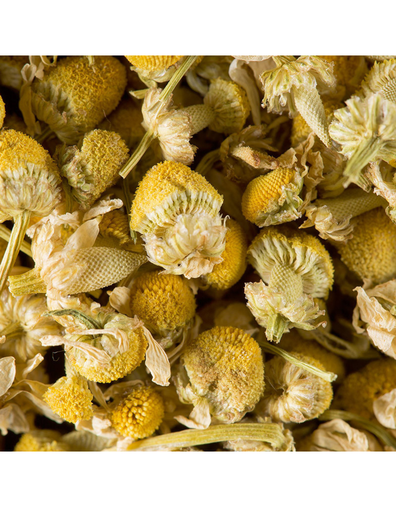 Dammann 'Camomille' Herbal tea