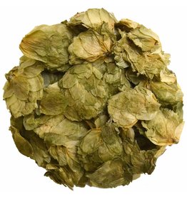 Koffiebranderij Sao Paulo HOPBELLEN