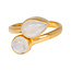 Double Rainbow Drop ring - goldplated