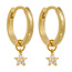 Ster opaal oorringen - goldplated