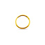 Basic piercing mini - goud