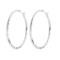 Big hammered earhoops - 925 zilver