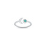 Moon Turqouise ring - 925 zilver