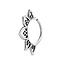 Septum Piercing Daisy - 925 zilver