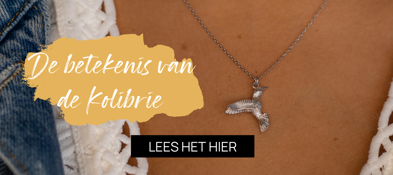 Kolibrie betekenis | De betekenis van de prachtige kolibrie sieraden