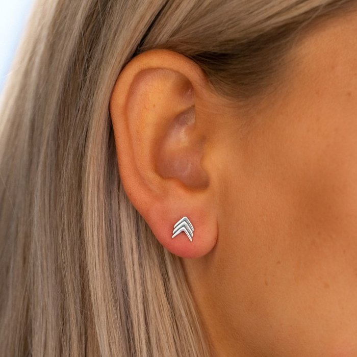 1 trio Chevron oorknopje