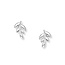 Olive Leaf studs - 925 zilver
