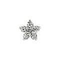 Flower stud CZ - 925 zilver