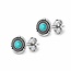 Oorknopjes Turquoise Glow - 925 zilver