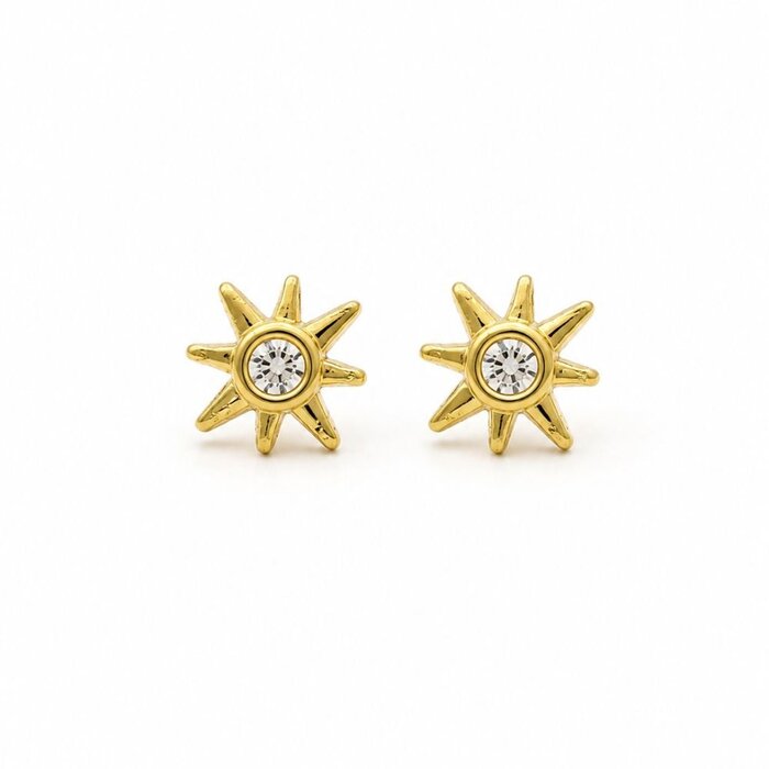 Oorbellen Astra studs goud