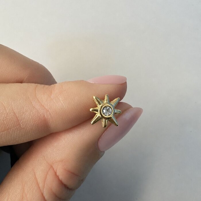 Oorbellen Astra studs goud
