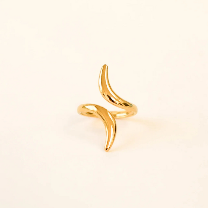 Ring Any goud