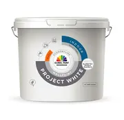 Global Paint Project White