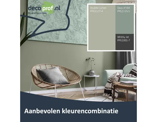 Sigma Perfect Matt | PPG1127-4 Boulder Lichen Sigma Perfect Matt | PPG1127-4 Boulder Lichen