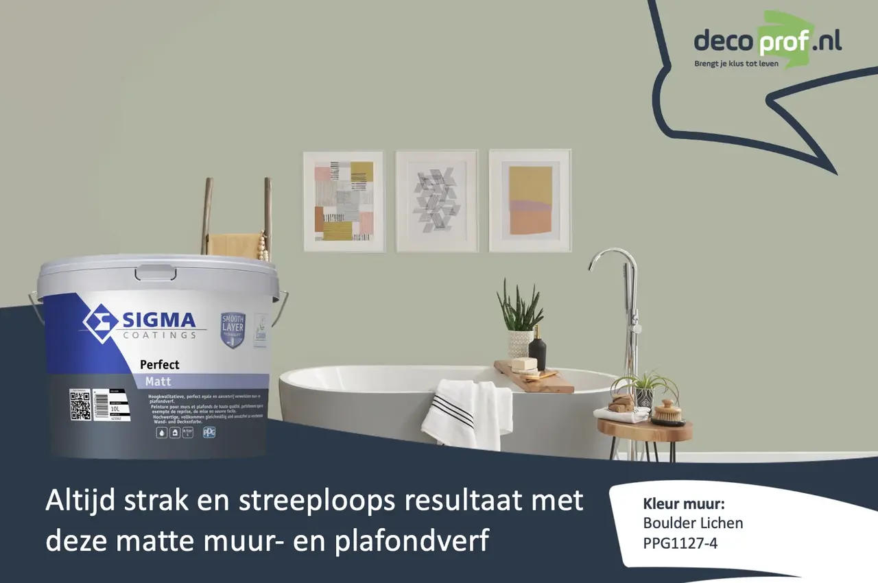 Sigma Perfect Matt | PPG1127-4 Boulder Lichen Sigma Perfect Matt | PPG1127-4 Boulder Lichen