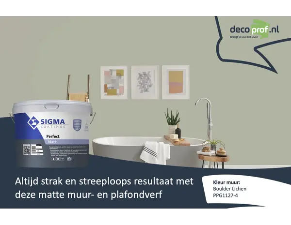 Sigma Perfect Matt | PPG1127-4 Boulder Lichen Sigma Perfect Matt | PPG1127-4 Boulder Lichen