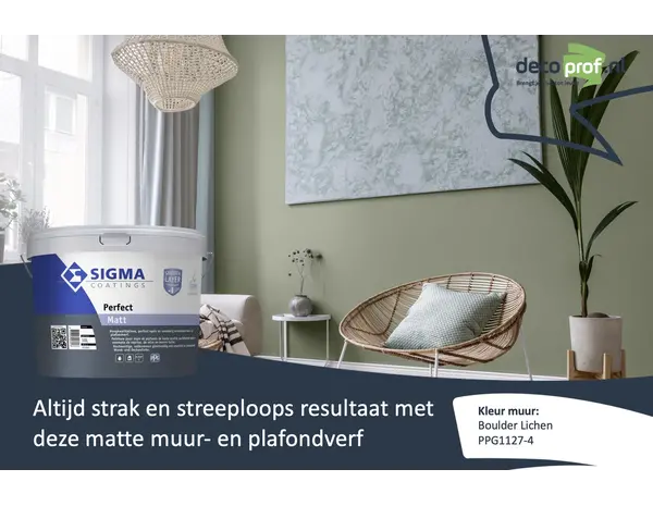 Sigma Perfect Matt | PPG1127-4 Boulder Lichen Sigma Perfect Matt | PPG1127-4 Boulder Lichen