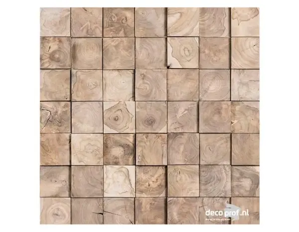 Nature at Home Kebun Raya Envi Natural