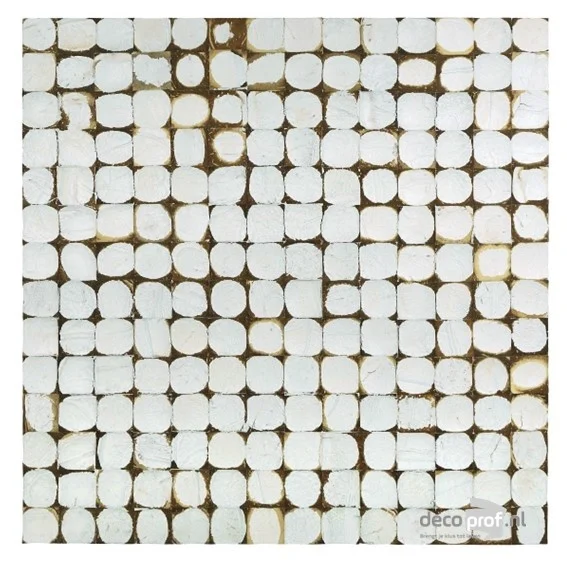 Bagonjong Coco Patina White | 1,058 m² | 6 panelen