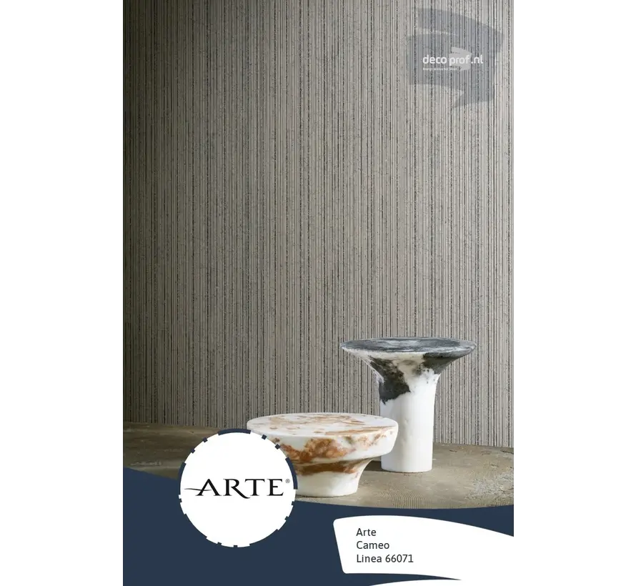 Arte Cameo Behang Linea 66074 - 1 Rol 