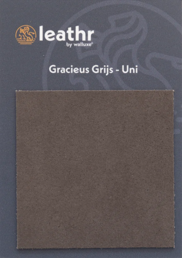 Leathr Gracieus Grijs Uni Proefstaal | 1 ST