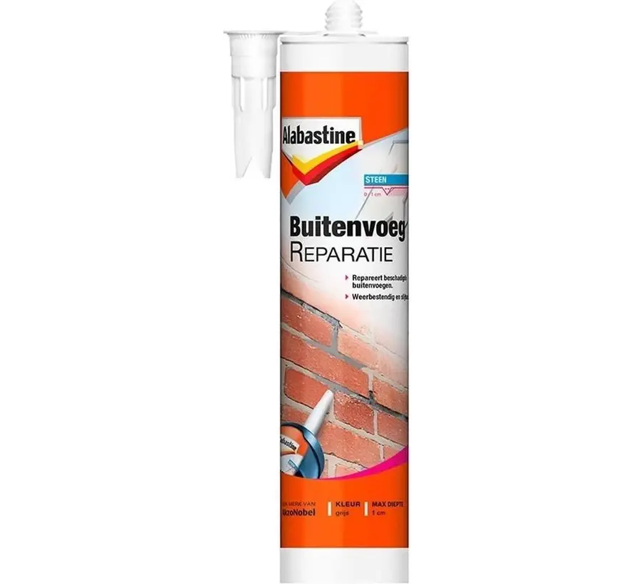 Alabastine Buitenvoeg Reparatie - 310 ML 