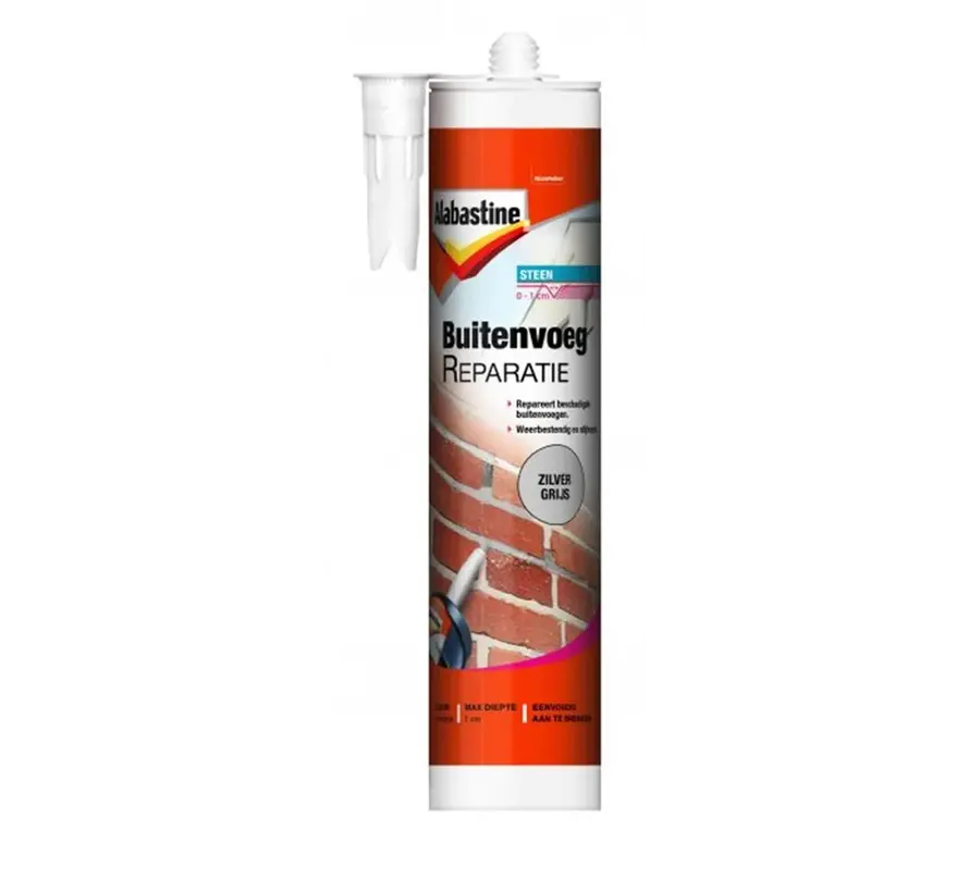 Alabastine Buitenvoeg Reparatie - 310 ML 