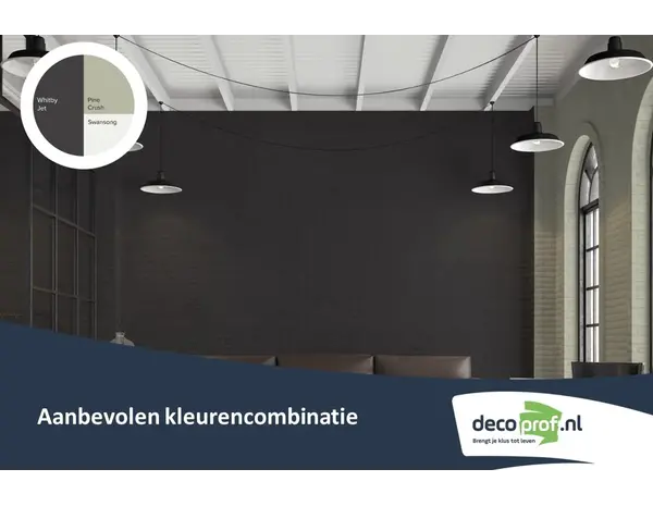 Kleurstaal Histor Colortester Whitby Jet PPG1001-7 | Zelfklevende Kleurstaal