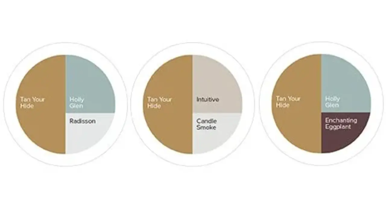 Kleurstaal Histor Colortester Tan Your Hide PPG1091-6 | Zelfklevende Kleurstaal