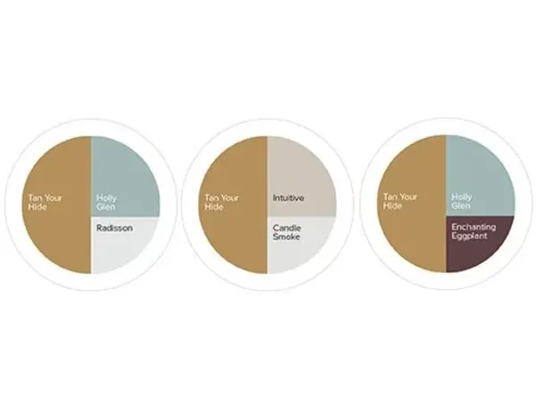 Kleurstaal Histor Colortester Tan Your Hide PPG1091-6 | Zelfklevende Kleurstaal