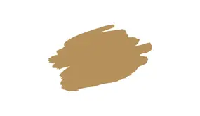 Histor Histor Colortester Tan Your Hide PPG1091-6