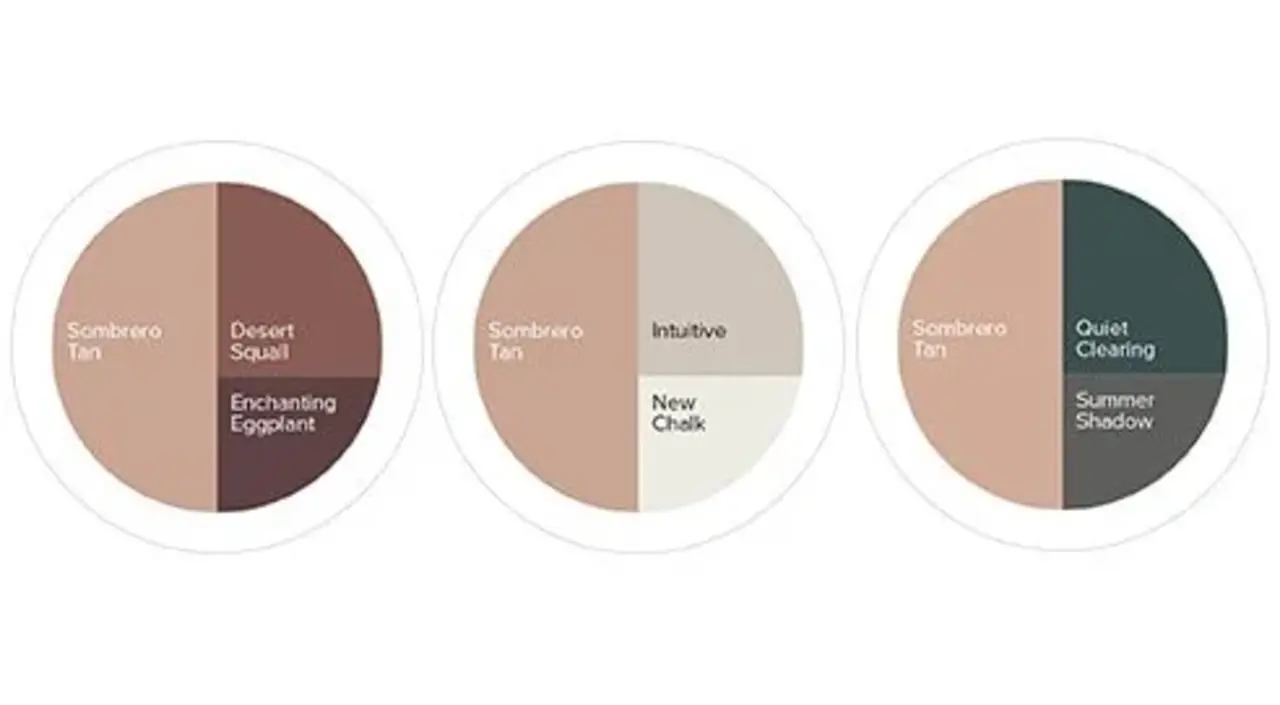 Kleurstaal Histor Colortester Sombrero Tan PPG16-01 | Zelfklevende Kleurstaal