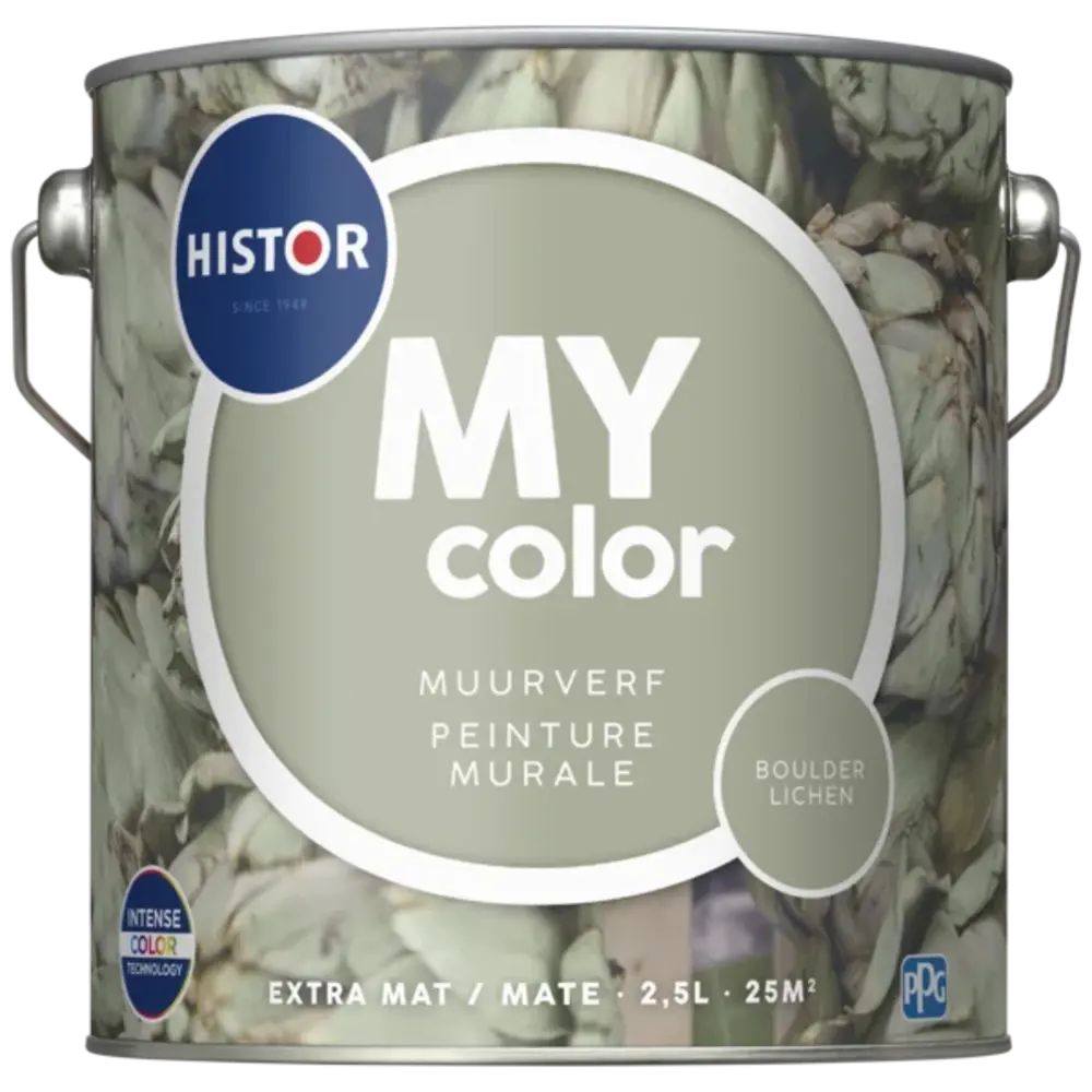 Histor My Color Muurverf Extra Mat Boulder Lichen Histor My Color Muurverf Extra Mat Boulder Lichen