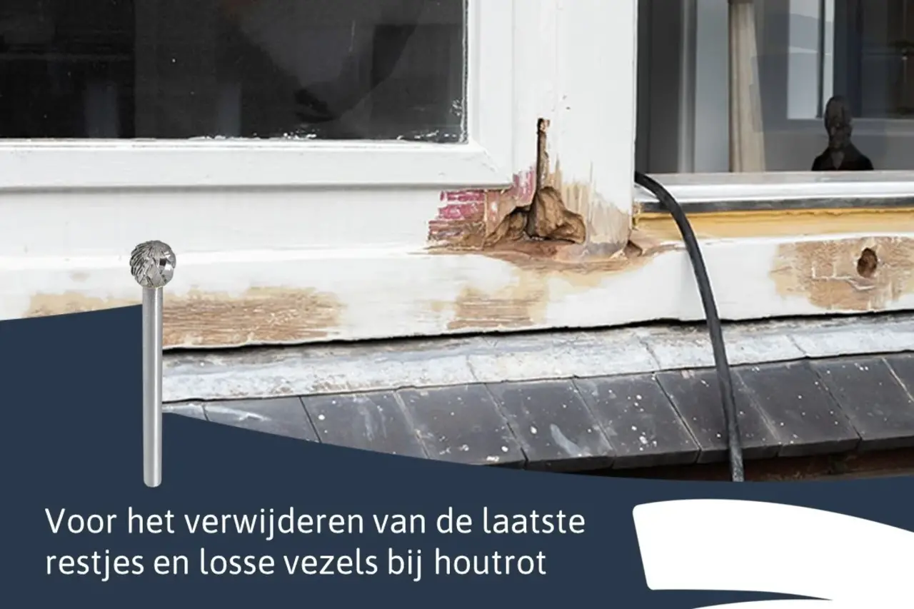 EazyFix Houtrot Frees