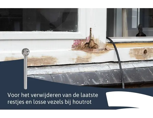 EazyFix Houtrot Frees