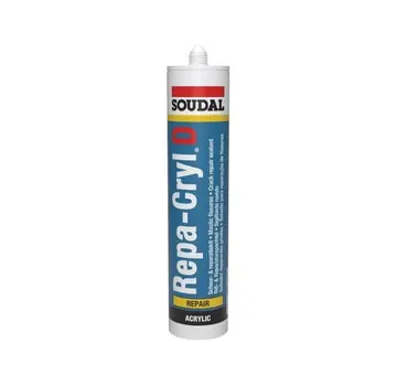 Soudal Repa-Cryl D Acrylaatkit Wit